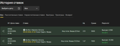 отчет первый по видаду.png отчет первый по видаду.png
